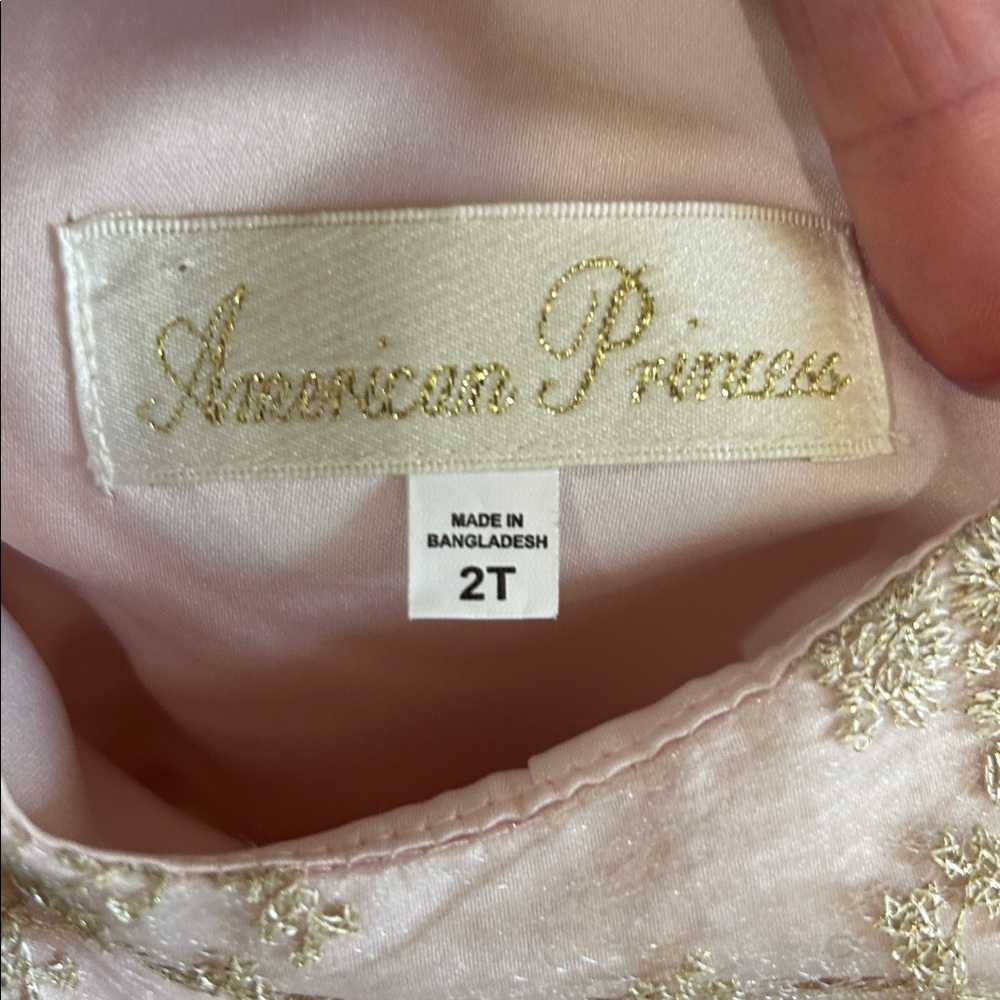 American Princess Girls Toddler Dress Beautiful Fancy Light Pink, Gold, & White - Picture 8 of 13